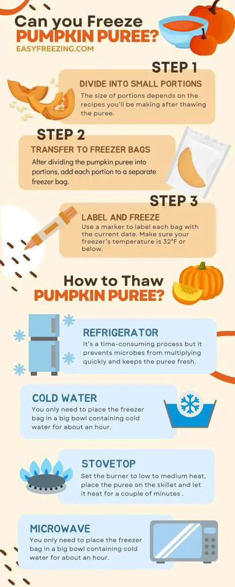 Freezing Pumpkin Puree Infographic