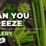 Can You Freeze Celery? (YES! Here's How)