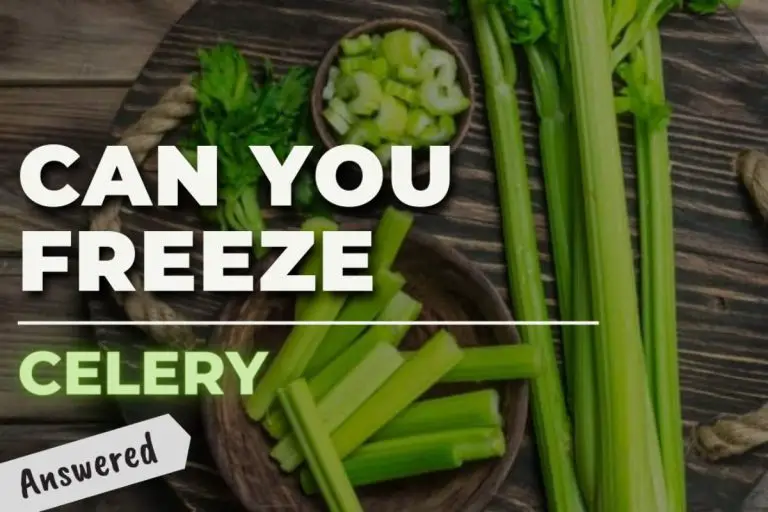 Can You Freeze Celery? (YES! Here’s How)