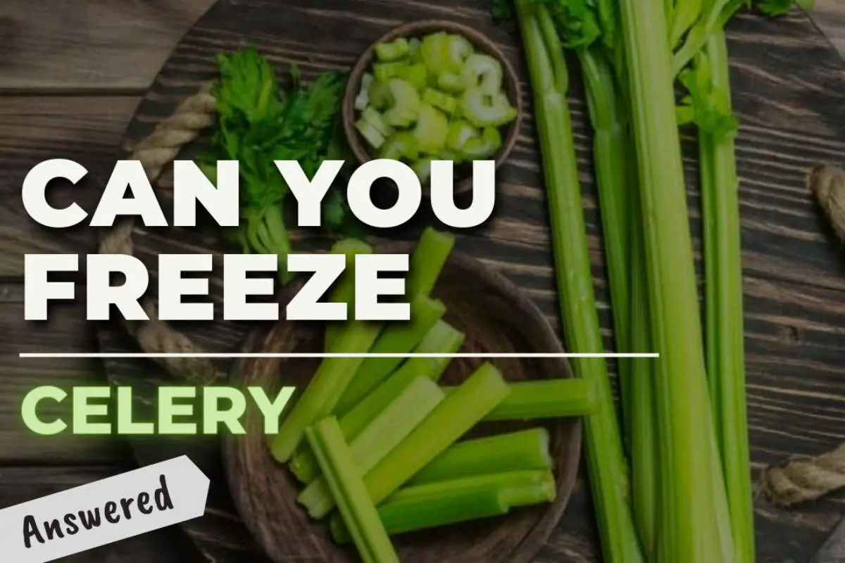 Can You Freeze Celery