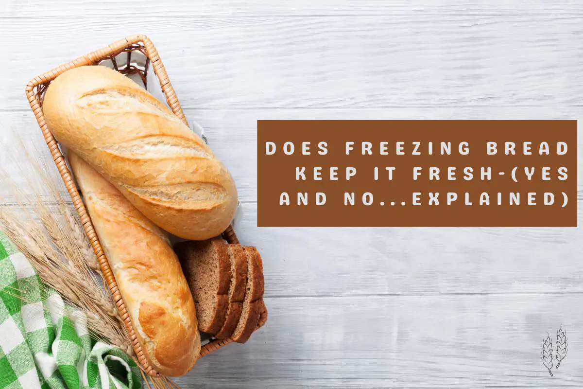 Does Freezing Bread Keep It Fresh (Yes And No…Explained) Easy Freezing