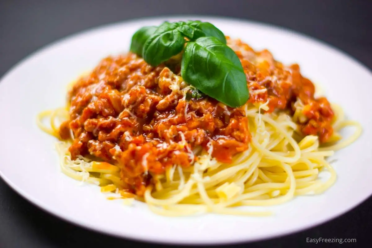Freezing Cooked Spaghetti With Sauce