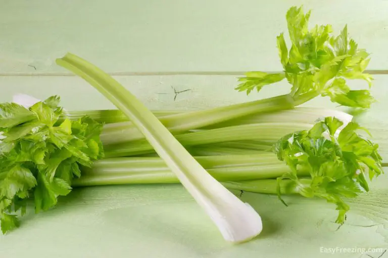 Can You Freeze Celery? (YES! Here's How) - Easy Freezing