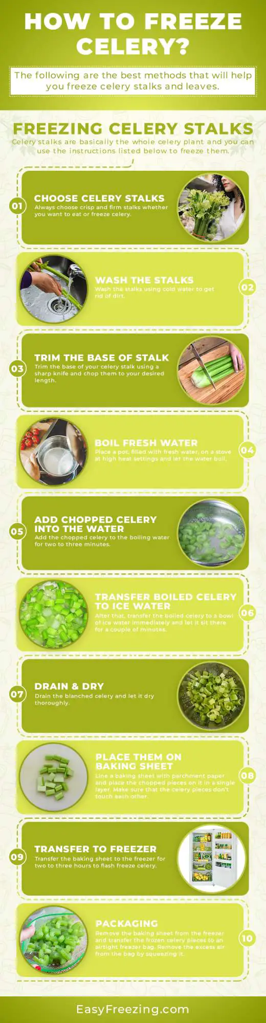 How to freeze celery infographic