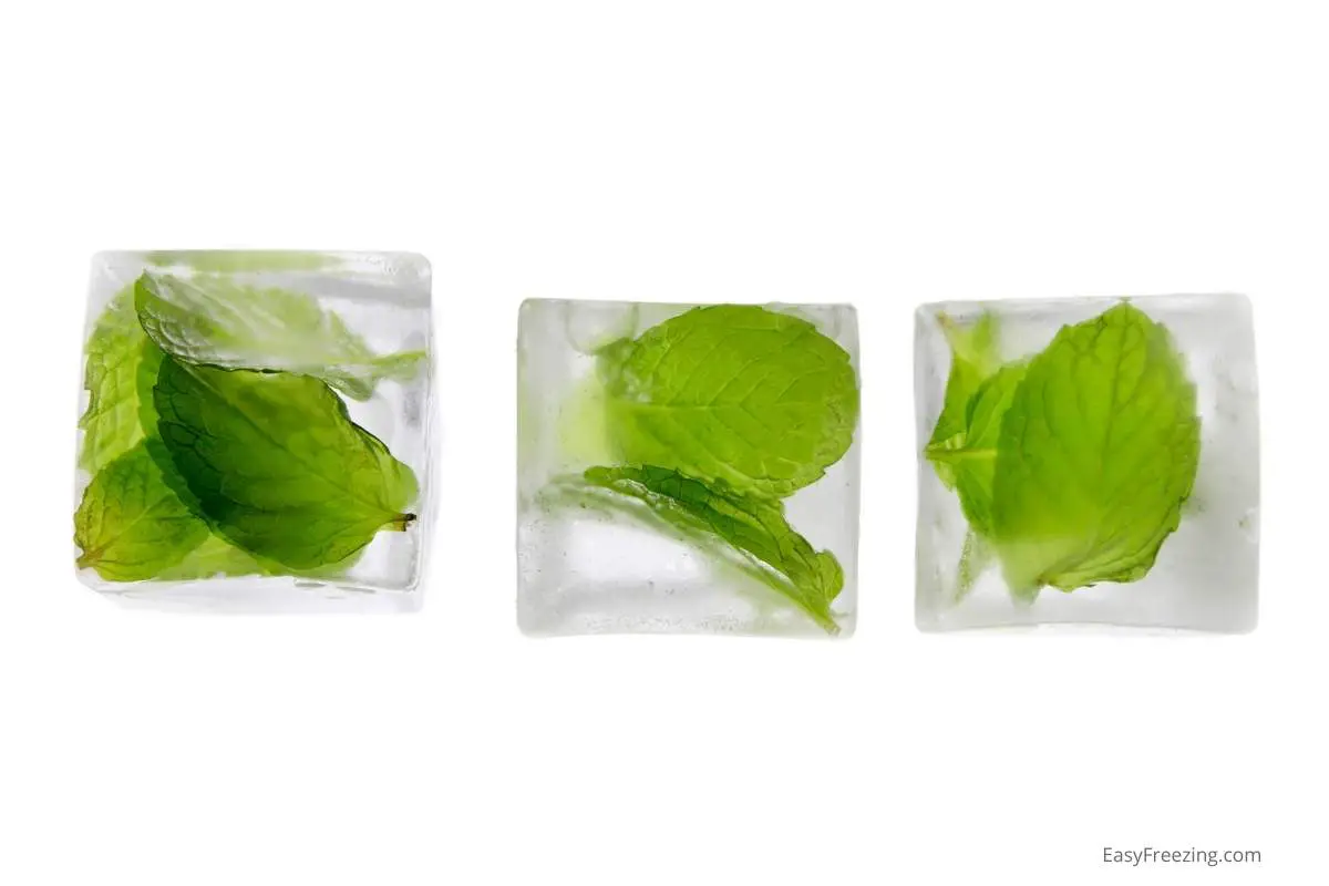 How to Thaw Frozen Mint